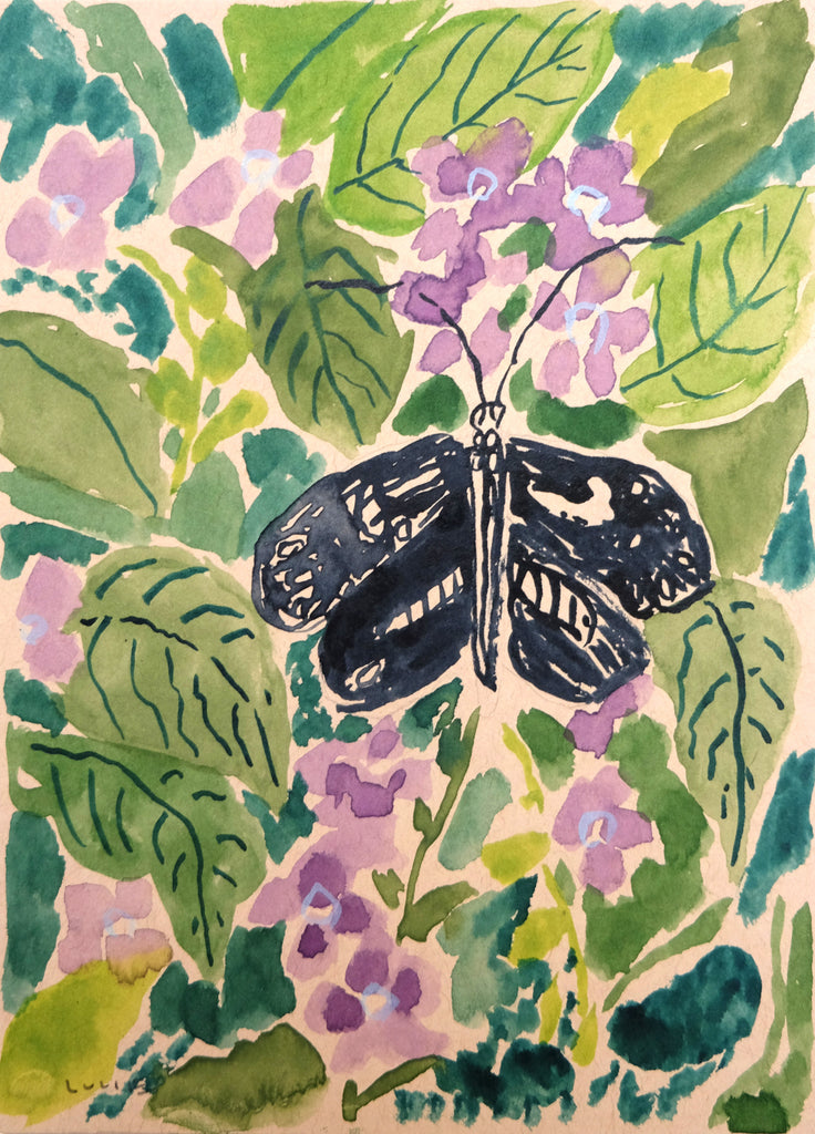 Cecil B. Day Butterfly Center No. 5 | Lulie Wallace