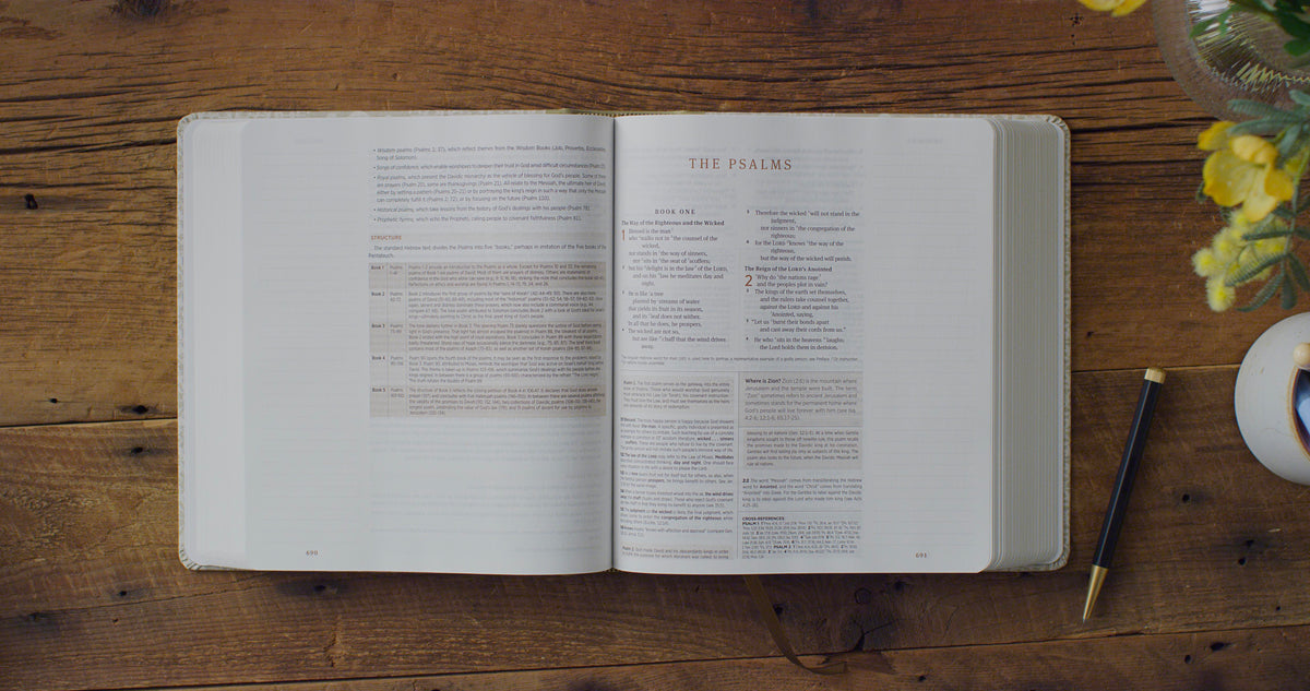 *New* "Isa" ESV Journaling Study Bible